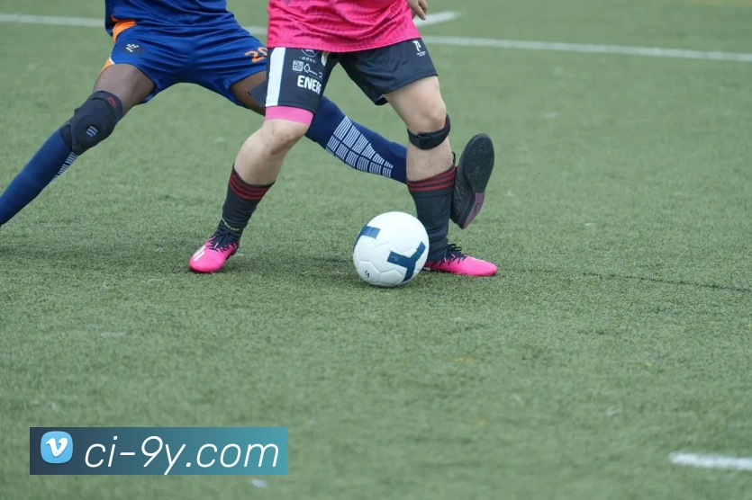 九游官网平台生态图