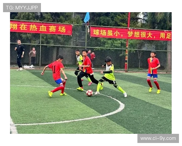 全面探索炫宝宝在绿茵赛场上所展现出的非凡足球风采深度解析